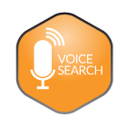 Google Voice Search